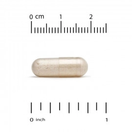 California Gold Nutrition, Пробиотики LactoBif, 30 млрд КОЕ, 60 овощных капсул