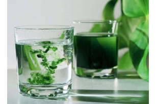 «Что такое хлорофилл?  Хлорофилл и гемоглобин»